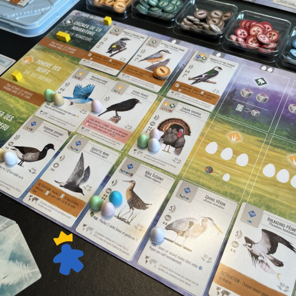 Wingspan - Matagot & Stonemaier