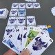 6 qui prend - Amigo & Gigamic