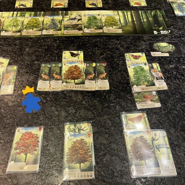 Forêt Mixte - Lookout Games