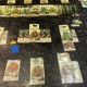 Forêt Mixte - Lookout Games