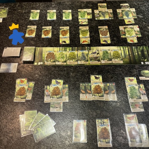 Forêt Mixte - Lookout Games