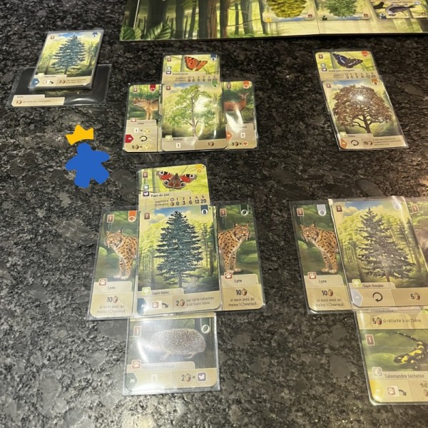 Forêt Mixte - Lookout Games