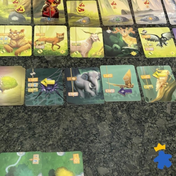 Living Forest Duel - Ludonaute