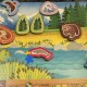 Cascadia Junior - Lucky Duck Games, AEG & Flatout Games