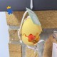 Oeuf dansant Gaspard le canard - Lilliputiens