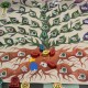 The Voynich Puzzle - Salt & Pepper Games, Frosted Games et Pixie Games - Précommande disponibilité 16 octobre 2026