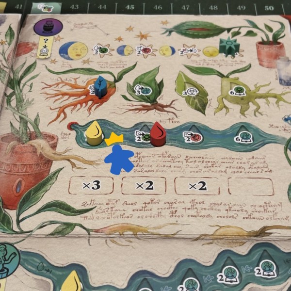 The Voynich Puzzle - Salt & Pepper Games, Frosted Games et Pixie Games - Précommande disponibilité 16 octobre 2026
